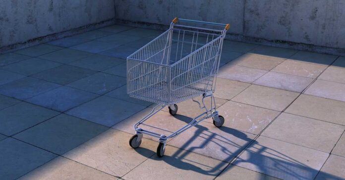Why Shoppers Abandon Online Carts 2024